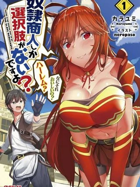 奴隷商人しか選択肢がないですよ?～ハーレム?なにそれおいしいの?～