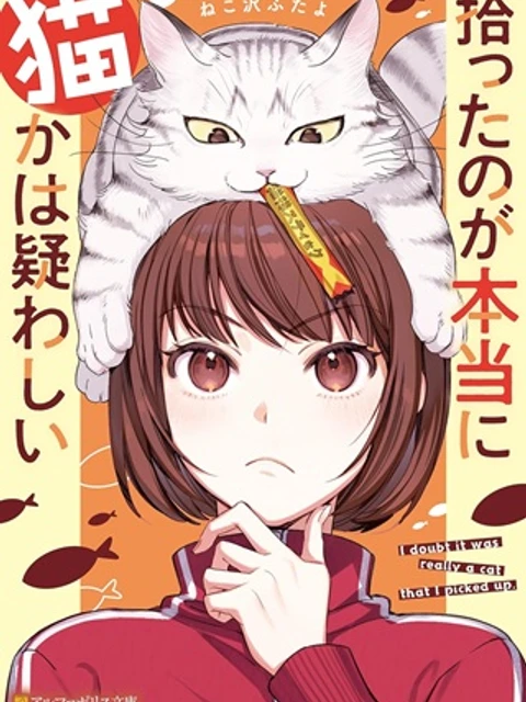 拾ったのが本当に猫かは疑わしい