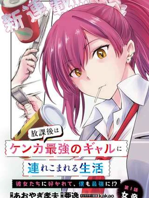 放課後はケンカ最強のギャルに連れこまれる生活 彼女たちに好かれて、僕も最強に!?