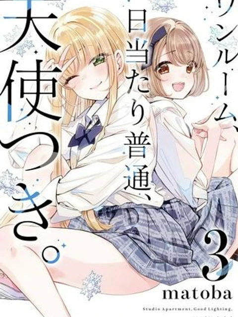 ワンルーム、日当たり普通、天使つき。