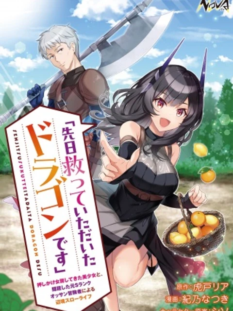「先日救っていただいたドラゴンです」~押しかけ女房してきた美少女と、隠居した元Sランクオッサン冒険者による辺境スローライフ~