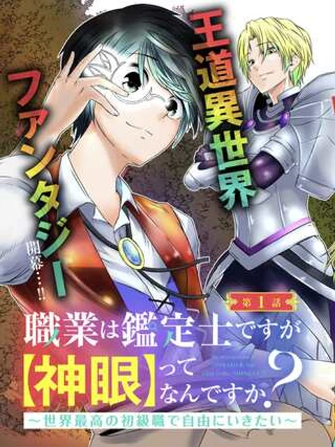 職業は鑑定士ですが【神眼】ってなんですか? ~世界最高の初級職で自由にいきたい~