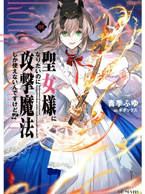 聖女様になりたいのに攻撃魔法しか使えないんですけど!?