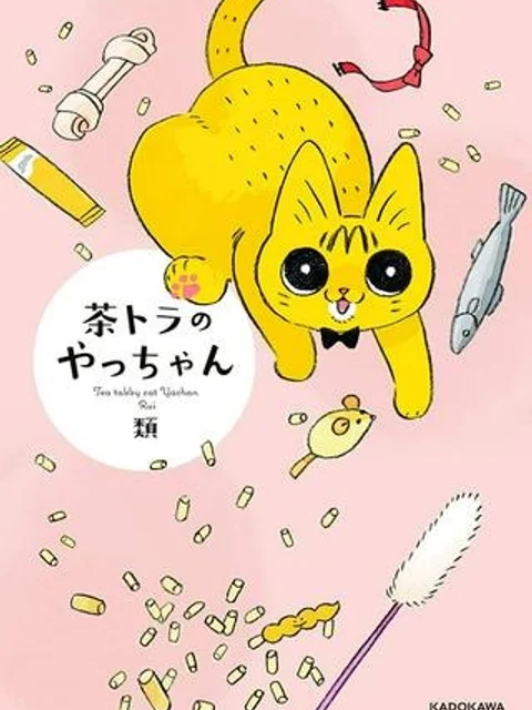 茶トラのやっちゃん