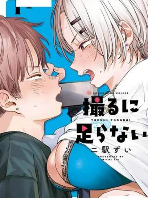 撮るに足らない