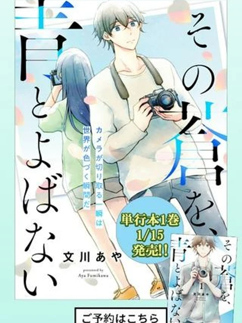 その蒼を、青とよばない