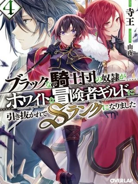 ブラックな騎士団の奴隷がホワイトな冒険者ギルドに引き抜かれてSランクになりました