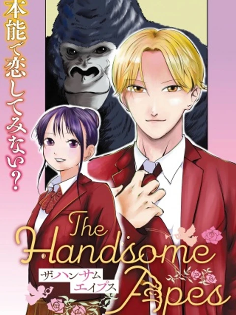 THE HANDSOME APES