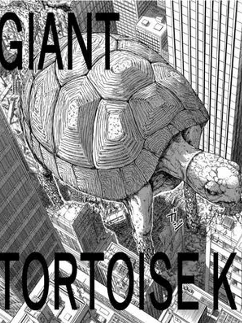 GIANT TORTOISE KILLING