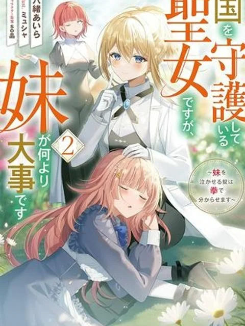 国を守護している聖女ですが、妹が何より大事です~妹を泣かせる奴は拳で分からせます~@COMIC