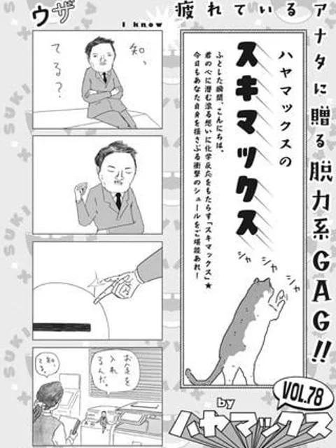 ハヤマックスのスキマックス