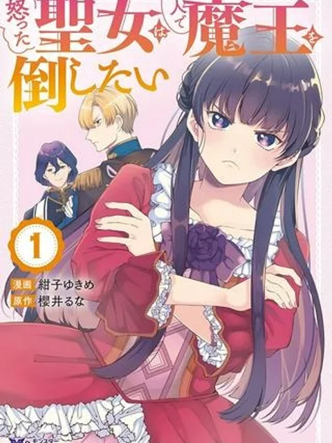 怒った聖女は一人で魔王を倒したい