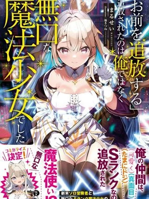 「お前を追放する」追放されたのは俺ではなく無口な魔法少女でした