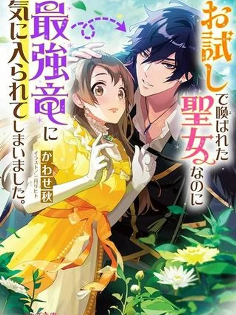 お試しで喚ばれた聖女なのに最強竜に気に入られてしまいました。