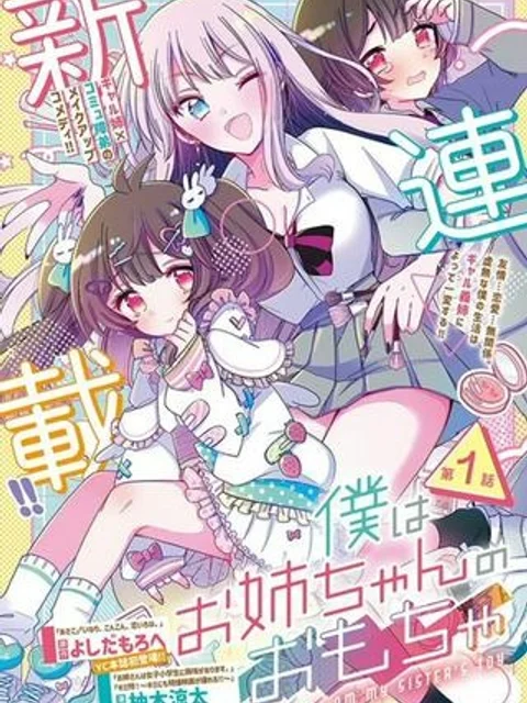 僕はお姉ちゃんのおもちゃ