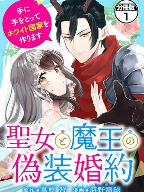 聖女と魔王の偽装婚約 ~手に手をとってホワイト国家を作ります~