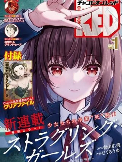ストラグリング・ガールズ~一発逆転の頭脳決戦~
