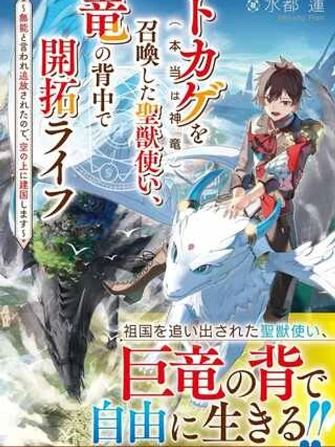 トカゲ(本当は神竜)を召喚した聖獣使い、竜の背中で開拓ライフ