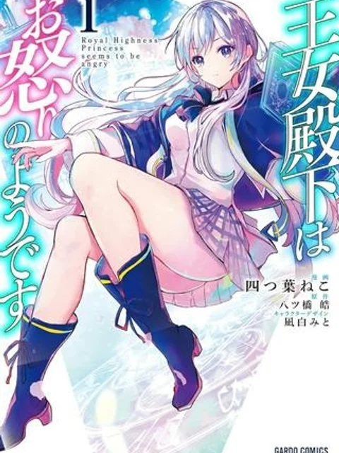 王女殿下はお怒りのようです