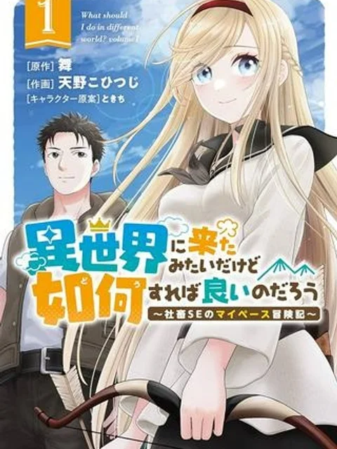 異世界に来たみたいだけど如何すれば良いのだろう~社畜SEのマイペース冒険記~